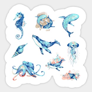 Marine Life Sticker